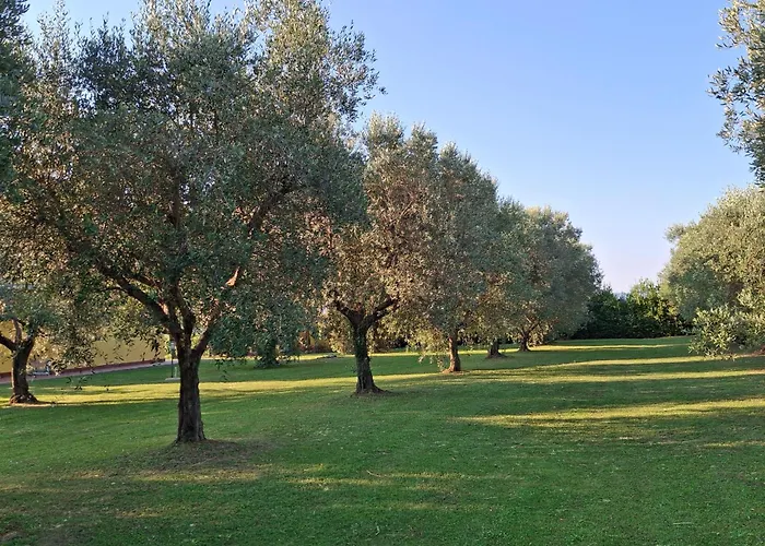 Agriturismo Podere 329