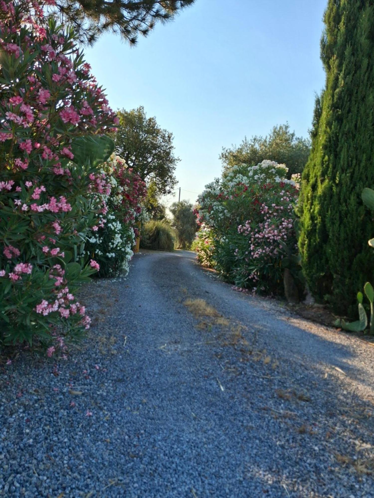 Podere 329 Vakantieboerderij *